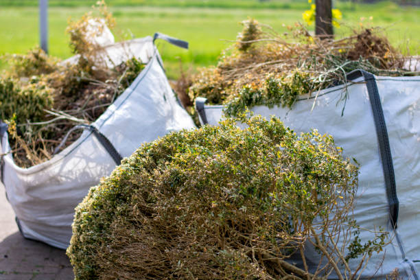 Best Residential Junk Removal  in Lagrange, IN
